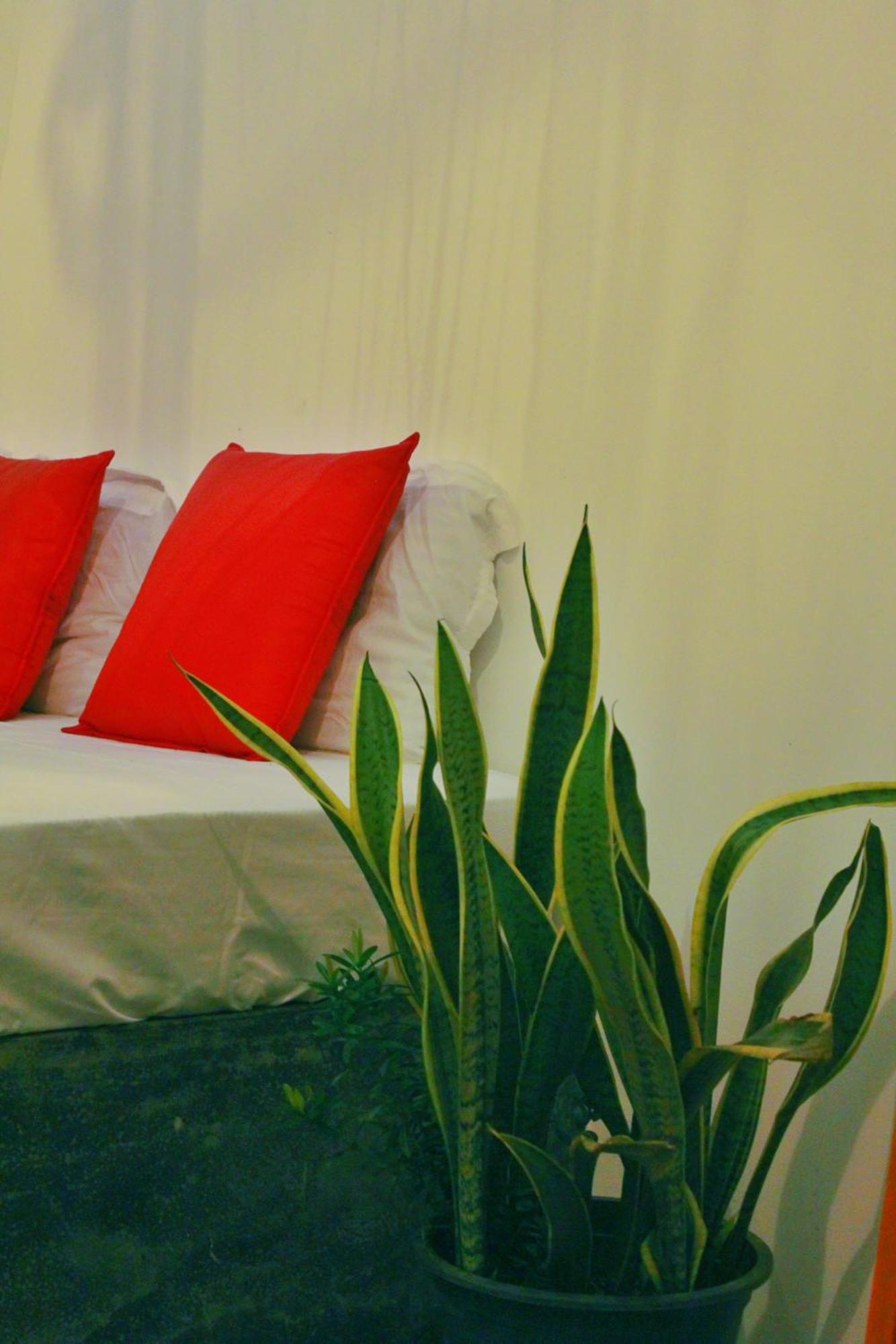 Linu Homestay 迪克韦勒 外观 照片